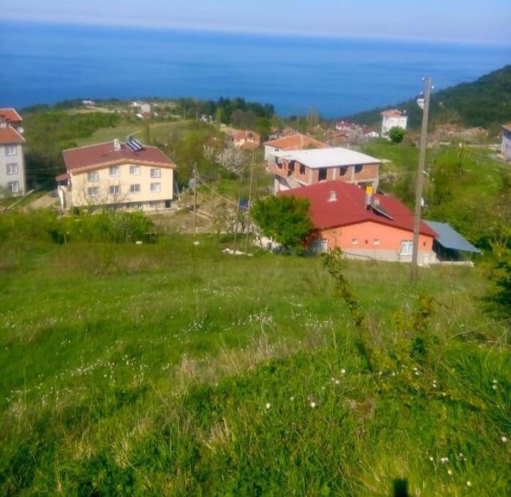 Çatalzeytin Konaklı Köyü Resimleri 2