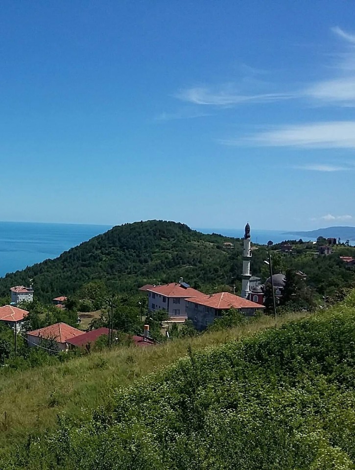 Çatalzeytin Konaklı Köyü Resimleri 4