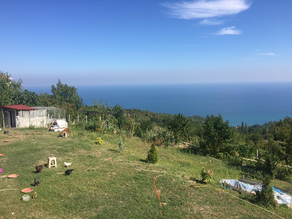 Çatalzeytin Konaklı Köyü Resimleri 9