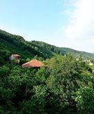 Gölyaka Zekeriyaköy Köyü Resimleri 3