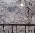 Gölyaka Zekeriyaköy Köyü Resimleri 6