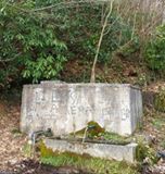 Gölyaka Zekeriyaköy Köyü Resimleri 9