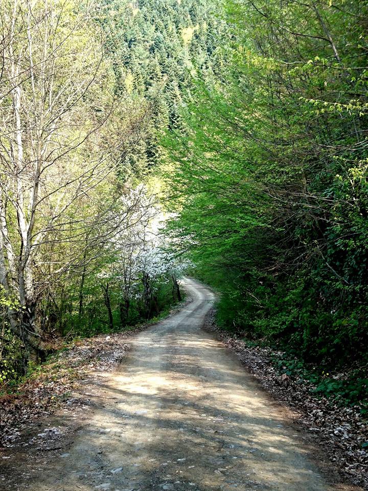 Çatalzeytin Kulfallar Köyü Resimleri 6