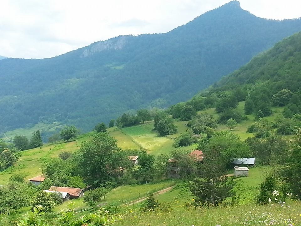 Çatalzeytin Sökü Köyü Resimleri 10