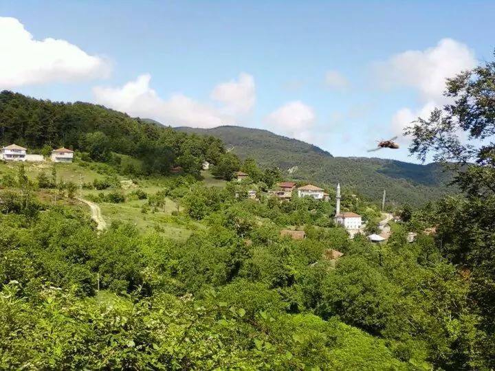 Çatalzeytin Sökü Köyü Resimleri 5