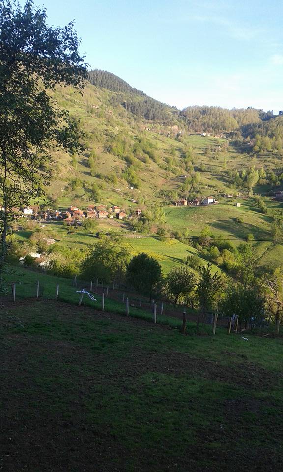 Çatalzeytin Sökü Köyü Resimleri 6