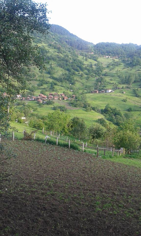 Çatalzeytin Sökü Köyü Resimleri 8