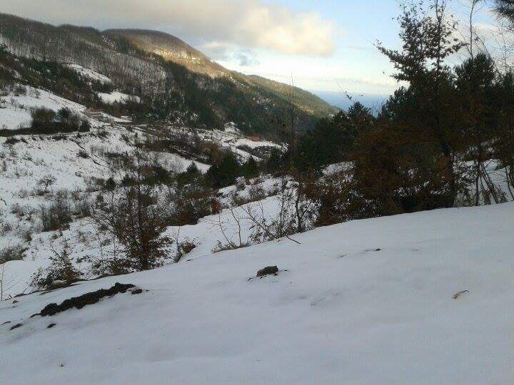 Çatalzeytin Yenibeyler Köyü Resimleri 5