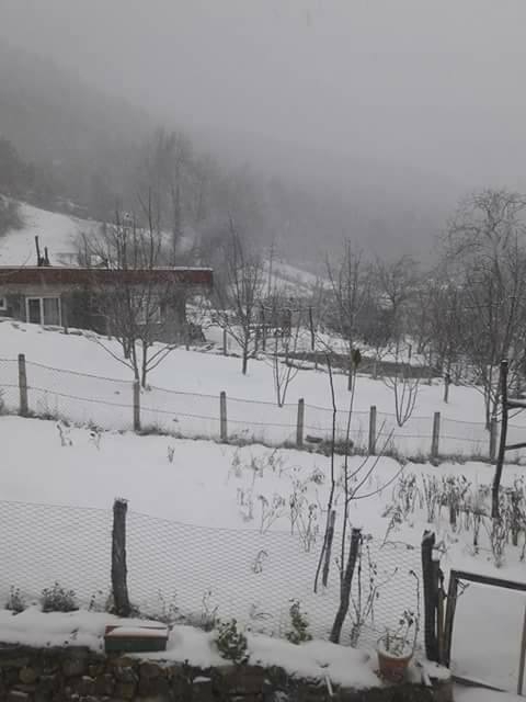 Çatalzeytin Yenibeyler Köyü Resimleri 6