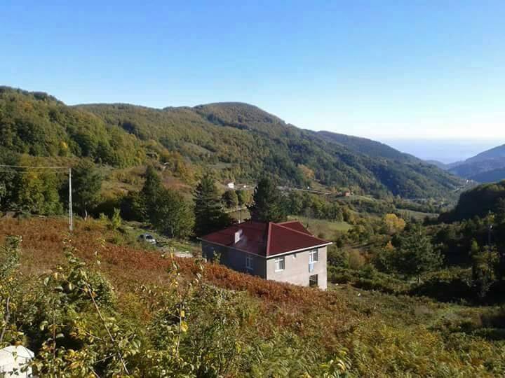 Çatalzeytin Yenibeyler Köyü Resimleri 8