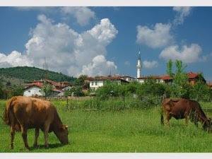 Daday Akılçalman Köyü Resimleri 1