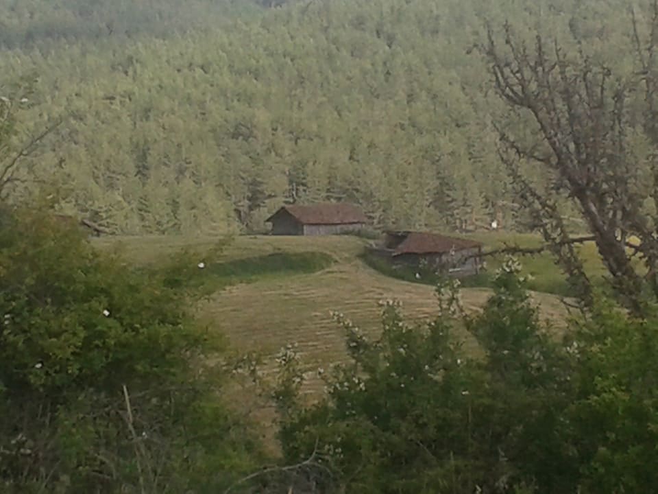 Daday Akılçalman Köyü Resimleri 4