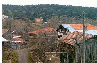 Daday Aktaştekke Köyü Resimleri 1