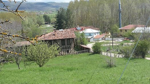 Daday Alipaşa Köyü Resimleri 1