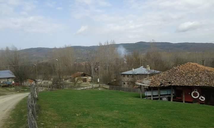 Daday Alipaşa Köyü Resimleri 3