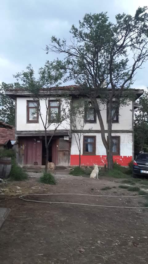 Daday Arabacılar Köyü Resimleri 2