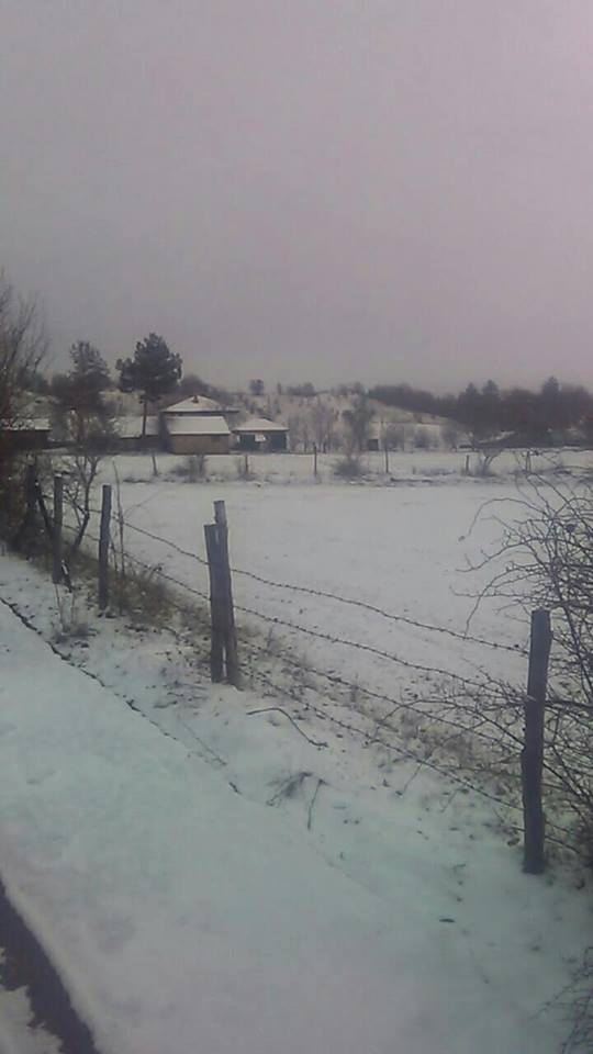 Daday Arabacılar Köyü Resimleri 8