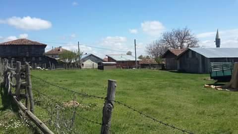 Daday Bağışlar Köyü Resimleri 11