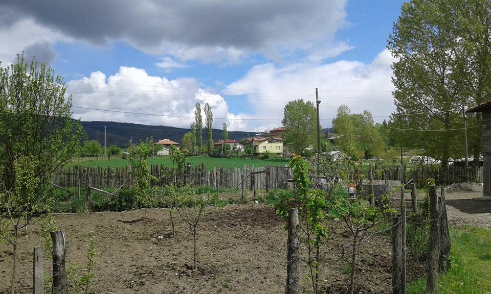 Daday Bağışlar Köyü Resimleri 5