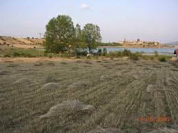 Daday Bastak Köyü Resimleri 3