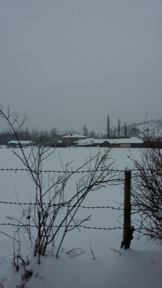 Daday Bayırköy Köyü Resimleri 1