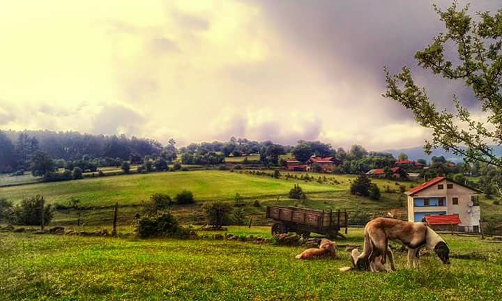 Daday Beykoz Köyü Resimleri 1