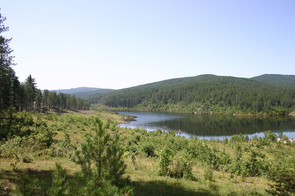 Daday Bezirgan Köyü Resimleri 10