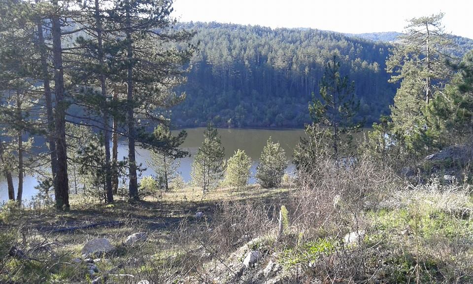 Daday Bezirgan Köyü Resimleri 3