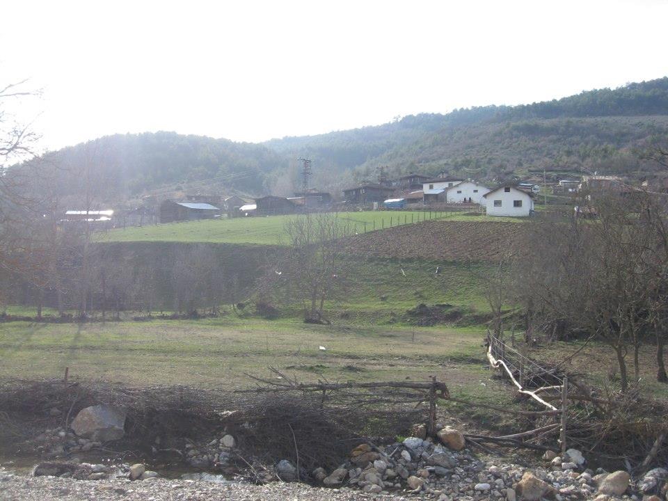 Daday Bezirgan Köyü Resimleri 4