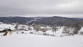 Daday Bezirgan Köyü Resimleri 9