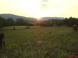 Daday Elmayazı Köyü Resimleri 5