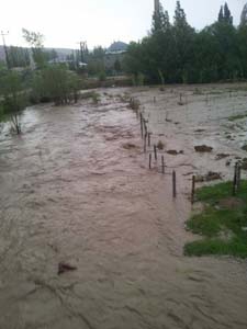 Sivas Bedirli Köyü Resimleri 17