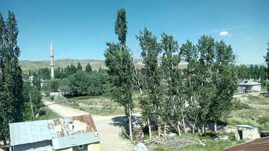 Sivas Bedirli Köyü Resimleri 3