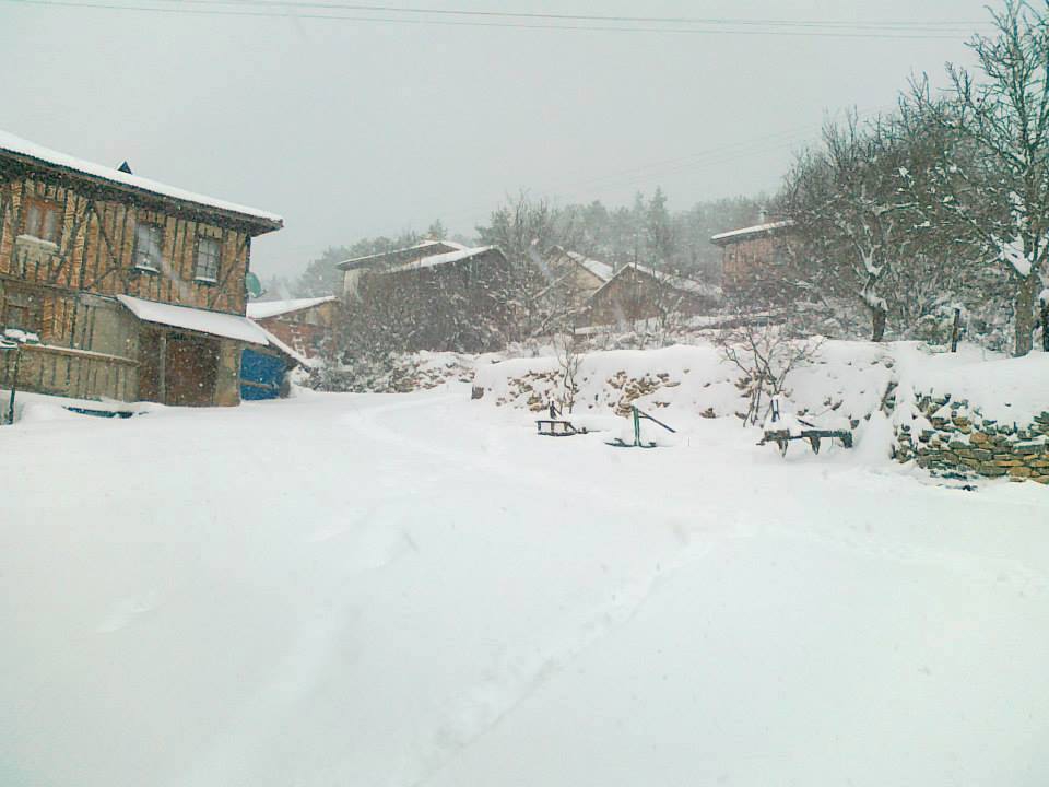 Daday Selalmaz Köyü Resimleri 11