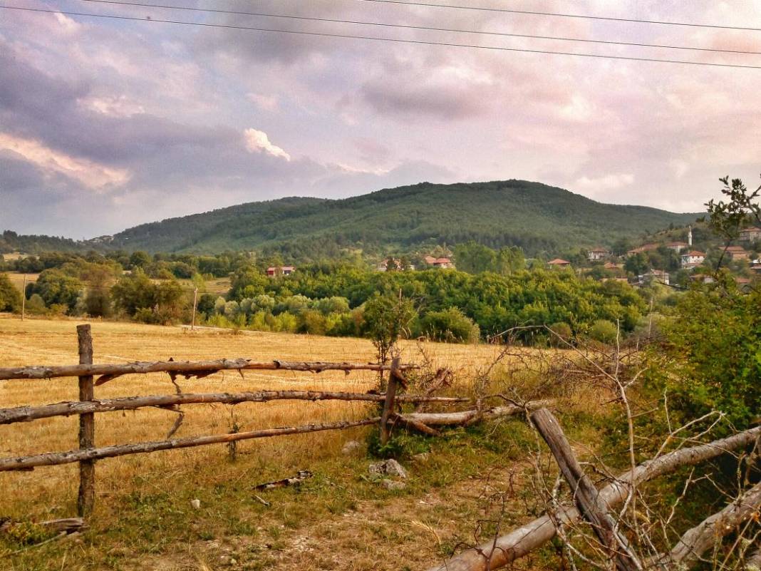 Daday Selalmaz Köyü Resimleri 16