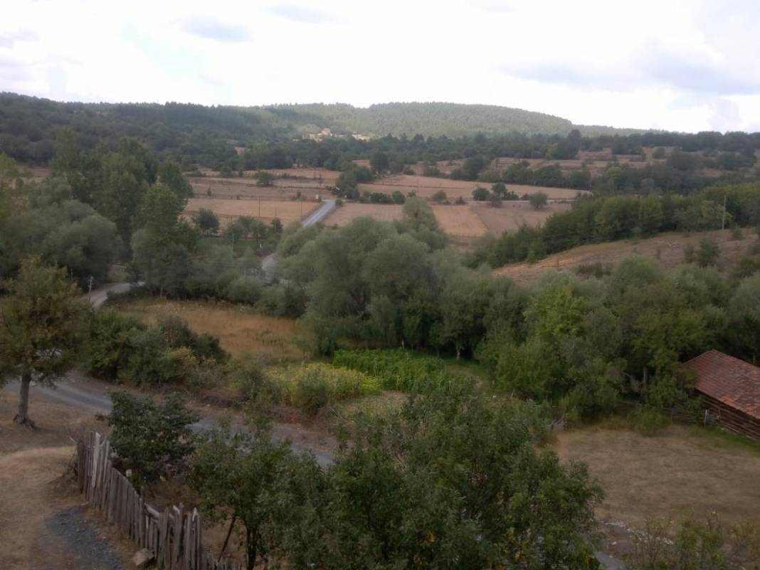 Daday Selalmaz Köyü Resimleri 20