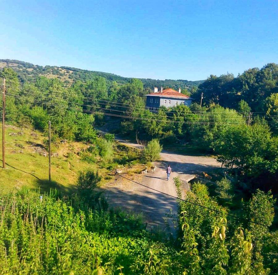 Daday Selalmaz Köyü Resimleri 21
