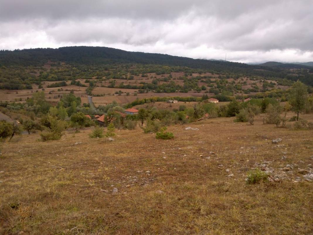 Daday Selalmaz Köyü Resimleri 25