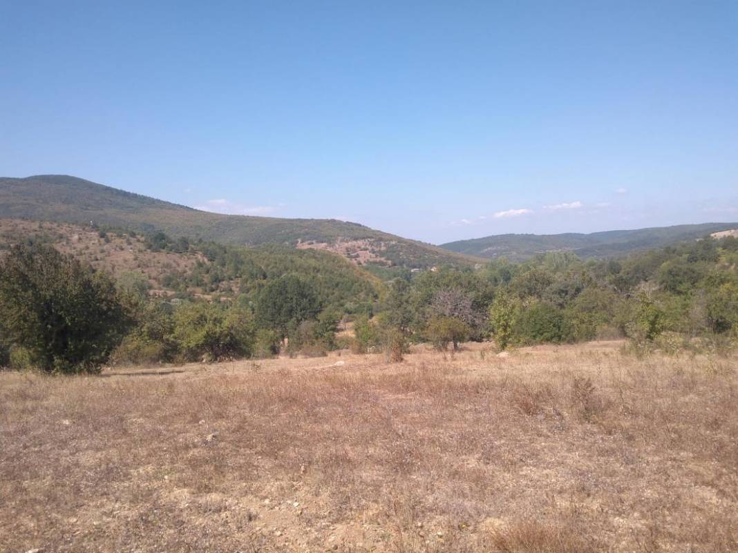 Daday Selalmaz Köyü Resimleri 26