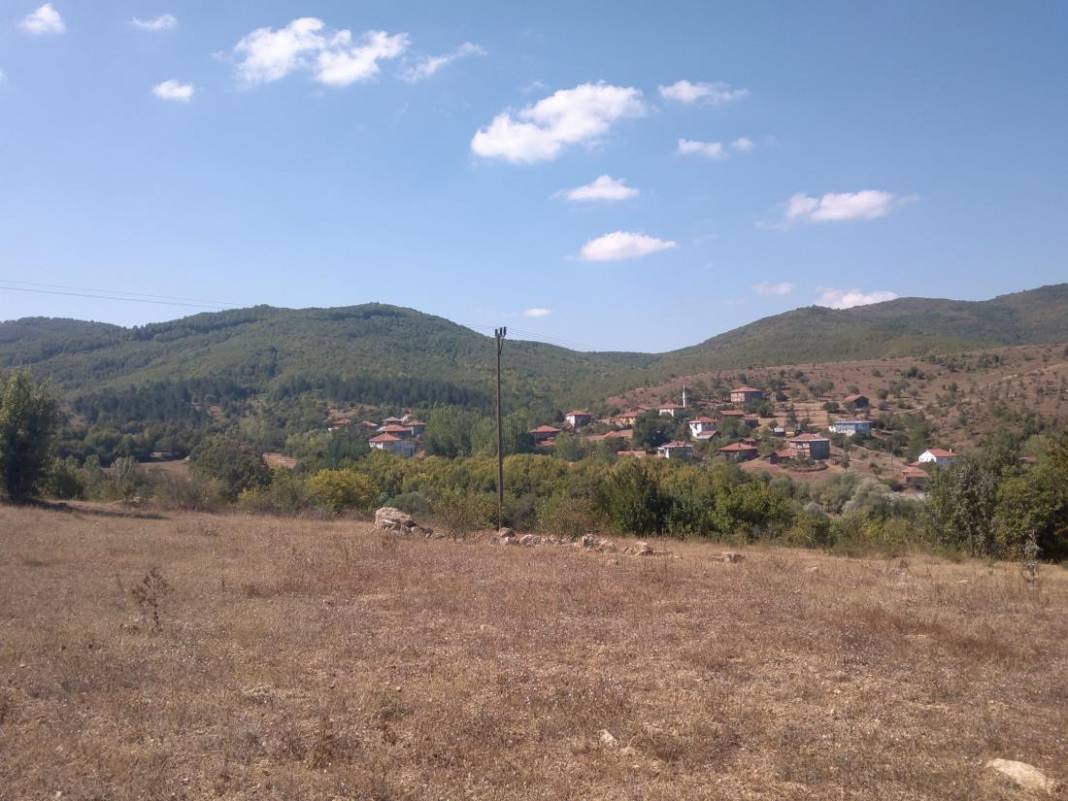 Daday Selalmaz Köyü Resimleri 27