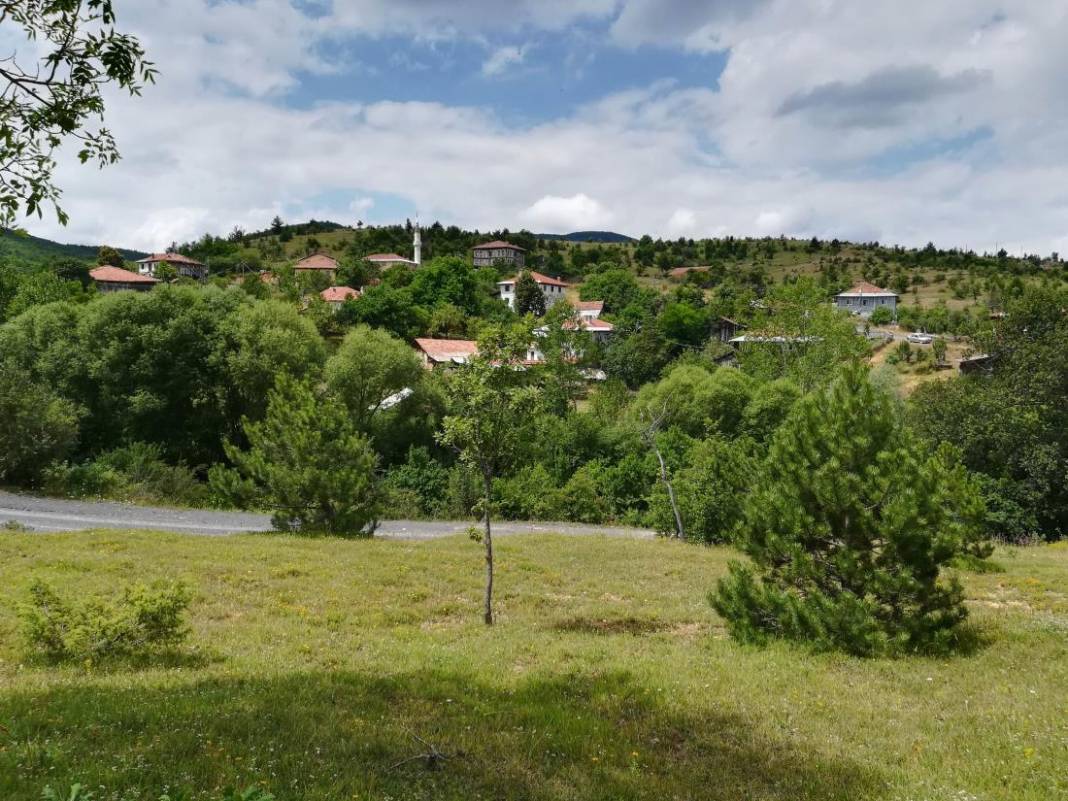 Daday Selalmaz Köyü Resimleri 31