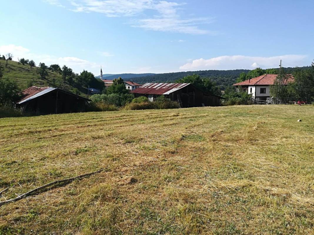 Daday Selalmaz Köyü Resimleri 32