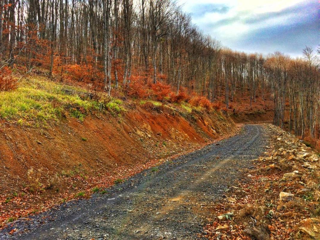 Daday Selalmaz Köyü Resimleri 33