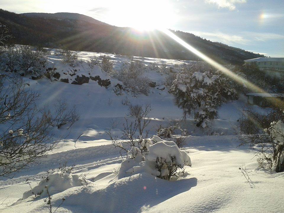 Daday Selalmaz Köyü Resimleri 4