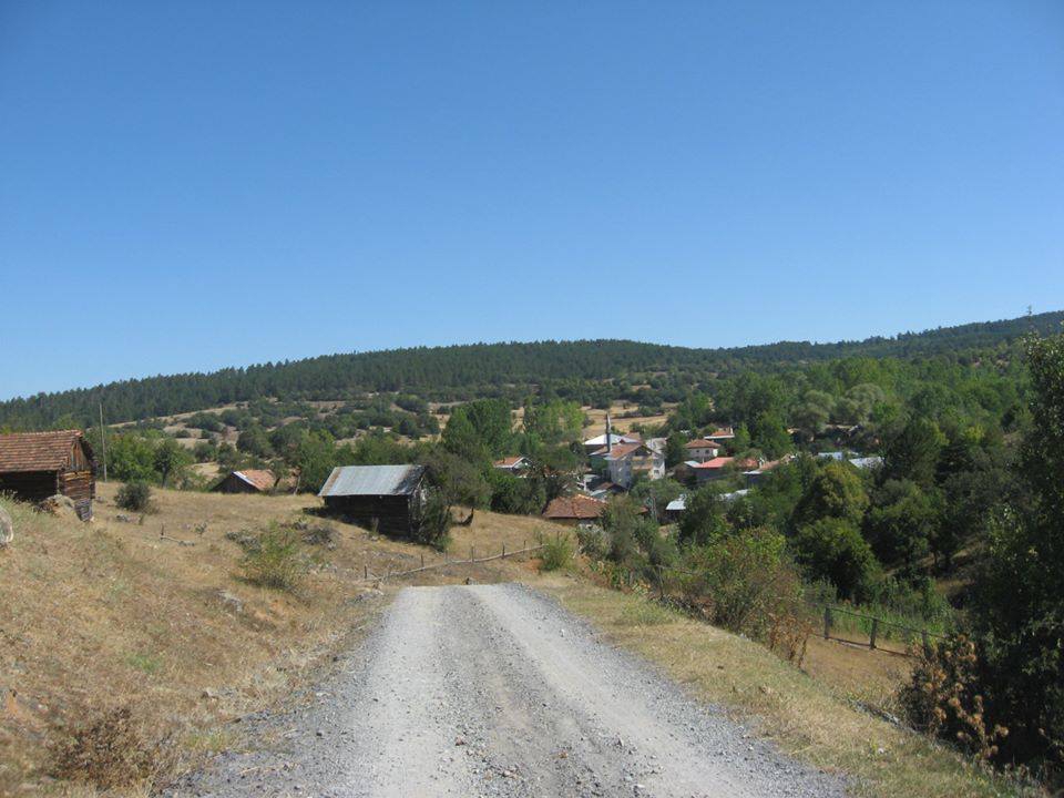 Daday Selalmaz Köyü Resimleri 5