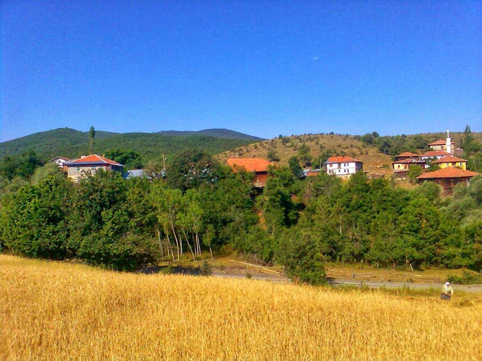 Daday Selalmaz Köyü Resimleri 8