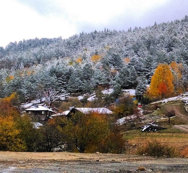 Daday Selalmaz Köyü Resimleri 9