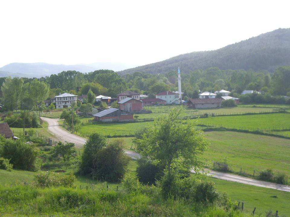 Daday Tüfekçi Köyü Resimleri 11