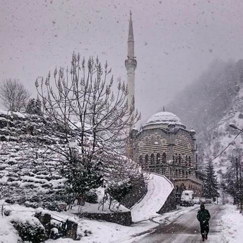 Daday Tüfekçi Köyü Resimleri 2