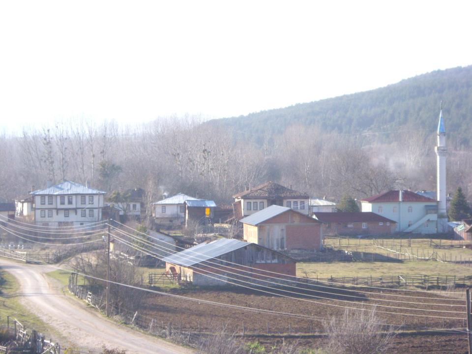 Daday Tüfekçi Köyü Resimleri 3